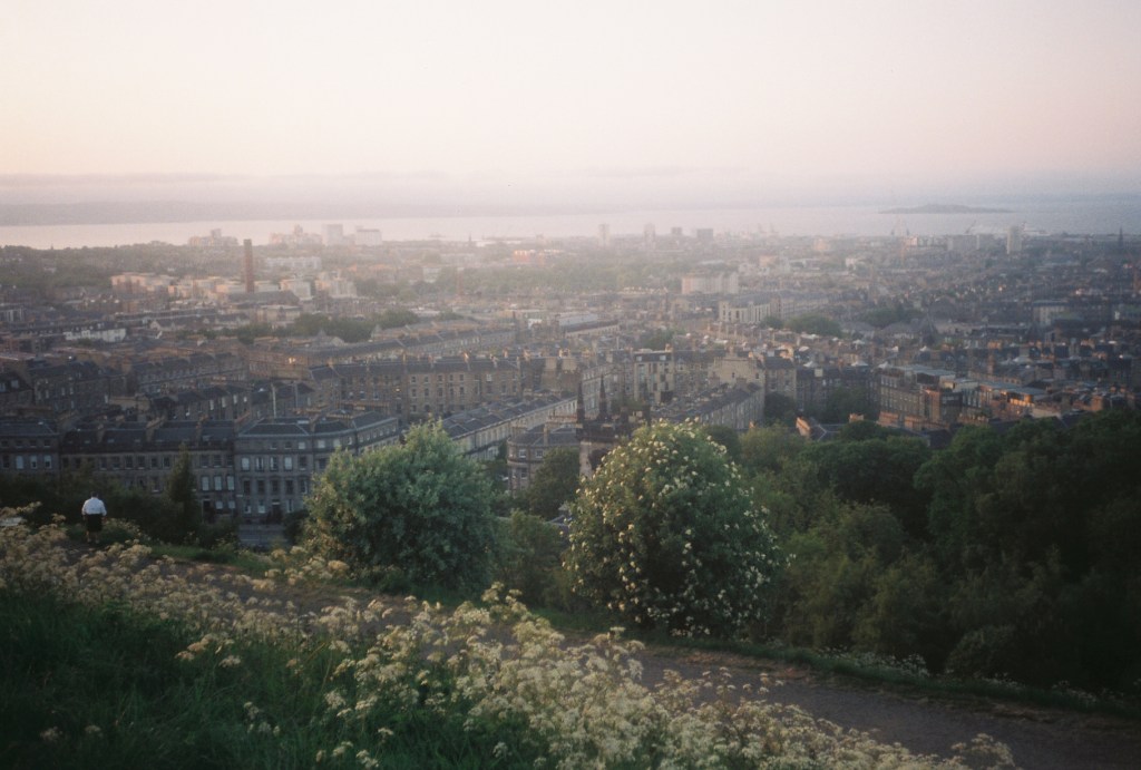 Virginia woolf and&nbsp;nature